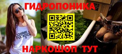 PSILOCYBIN Краснодар
