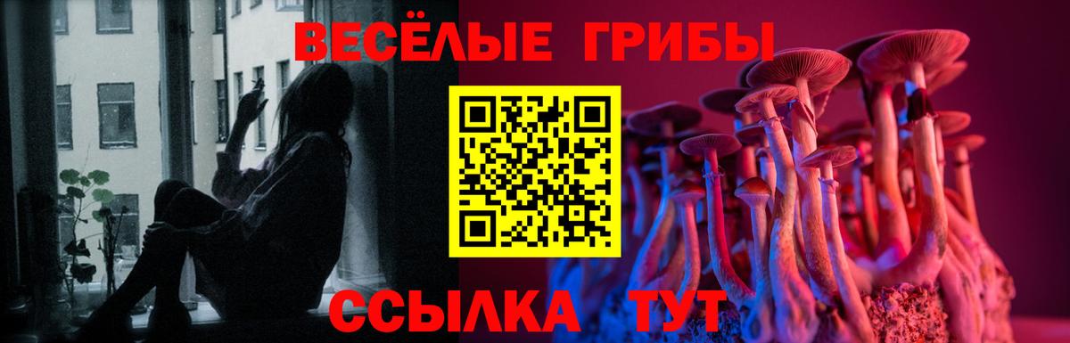 Псилоцибиновые грибы мицелий  Вход с VPN  Ессентуки 