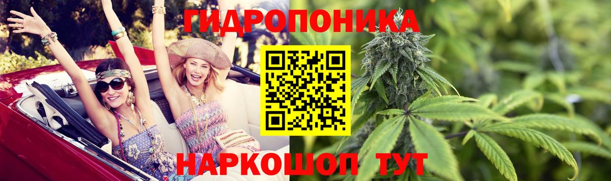 Бошки Шишки MAZAR  Вход с VPN  Ессентуки  Марихуана гибрид 